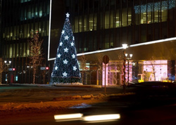 Компания «Логдок» доставила в Алматы новогоднюю ёлку