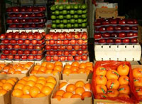 Завершена доставка 120 тонн овощей и фруктов из Казахстана в  Москву